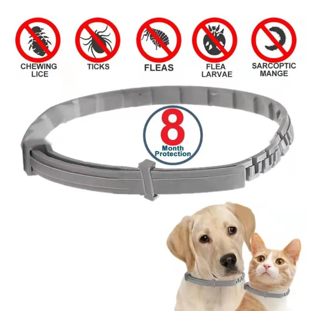 Pet Anti-Flea Collar